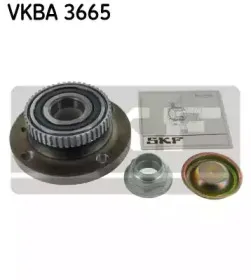 VKBA 3665 SKF